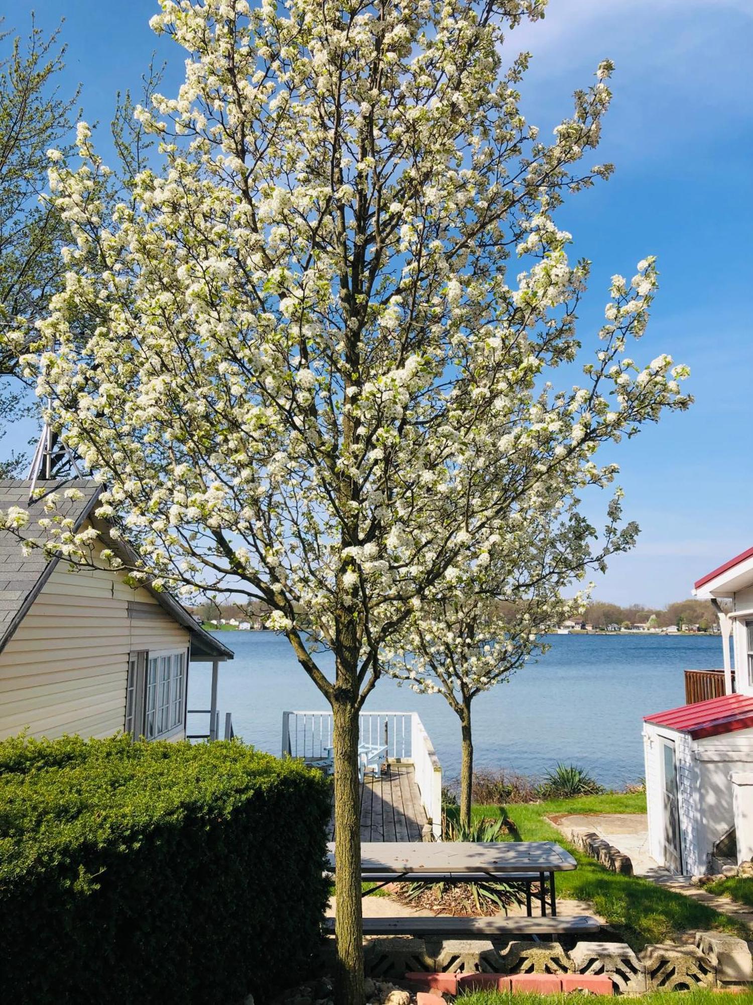The Wellington Lake Cottage Middlebury Esterno foto